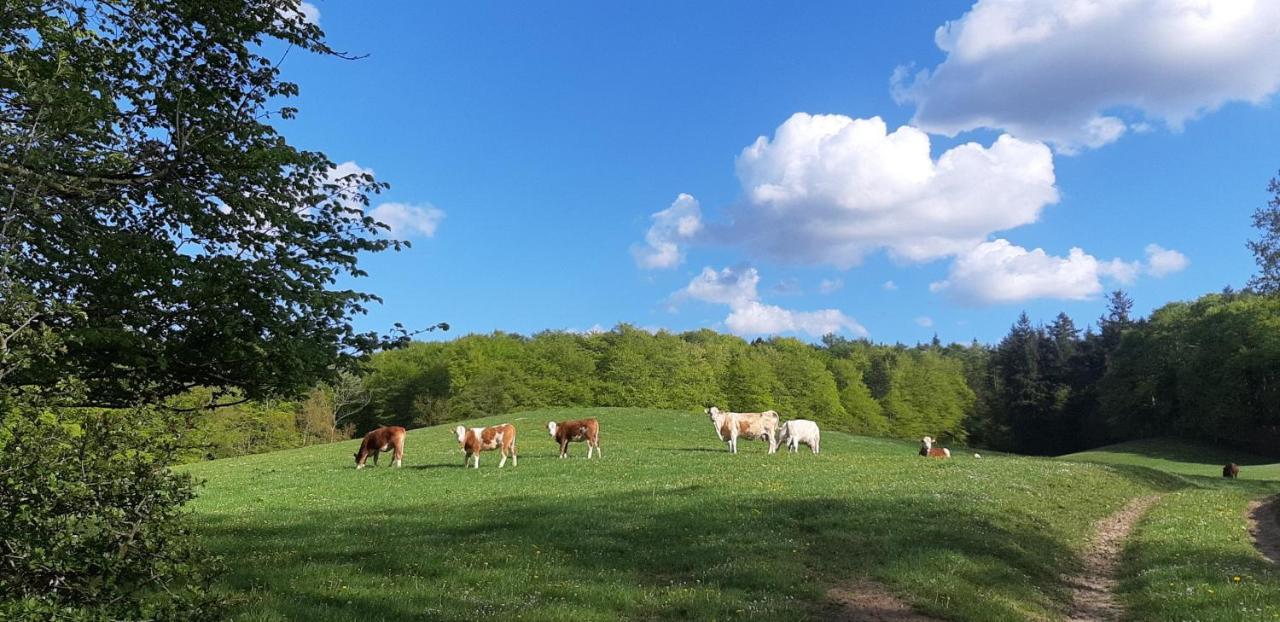 Ferienhaus Diedrichsen Brekendorf Buitenkant foto