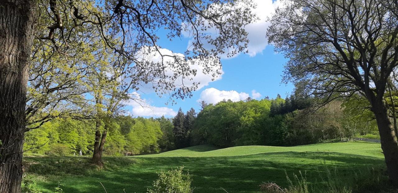 Ferienhaus Diedrichsen Brekendorf Buitenkant foto